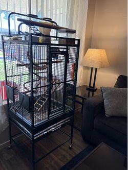 Bird Cage