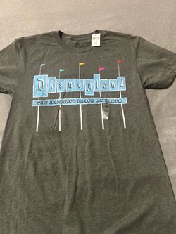 Disneyland T-shirt small