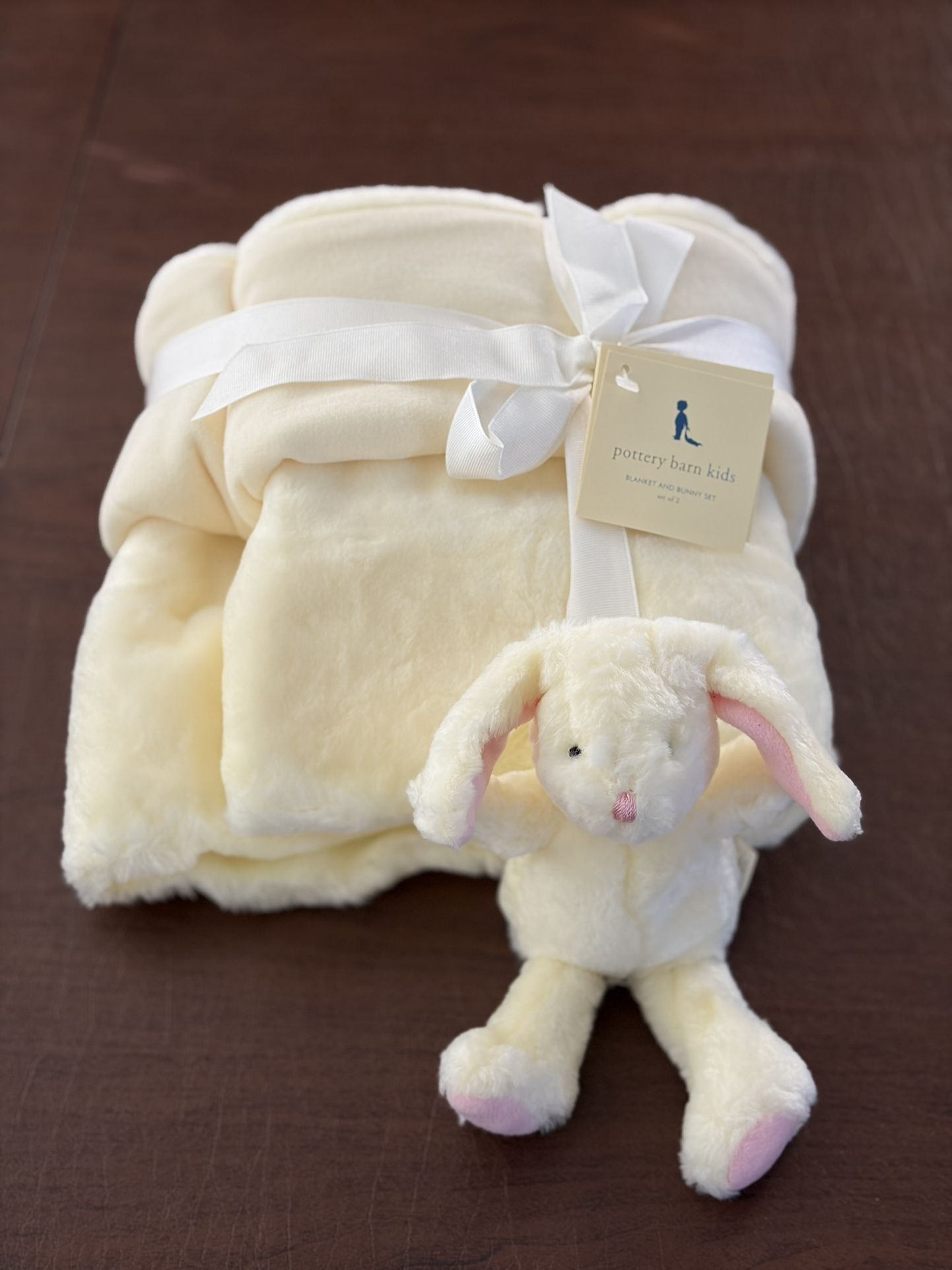 Pottery Barn Kids Blanket And Bunny Set