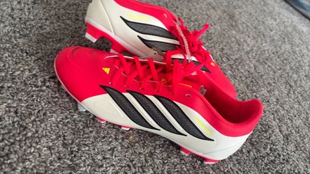 Adidas predator cleats