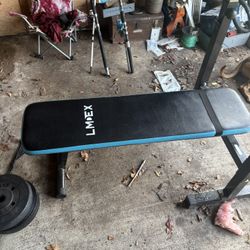 Weights And Bench/dip Station 