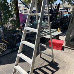 Ladder 6ft
