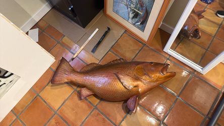 Fish Mount