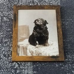 Cute Vintage Dog "Gage" Rustic Framed Photo 8.5" x 11"