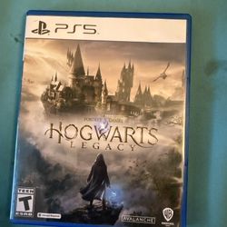 Hogwarts Legacy Ps5