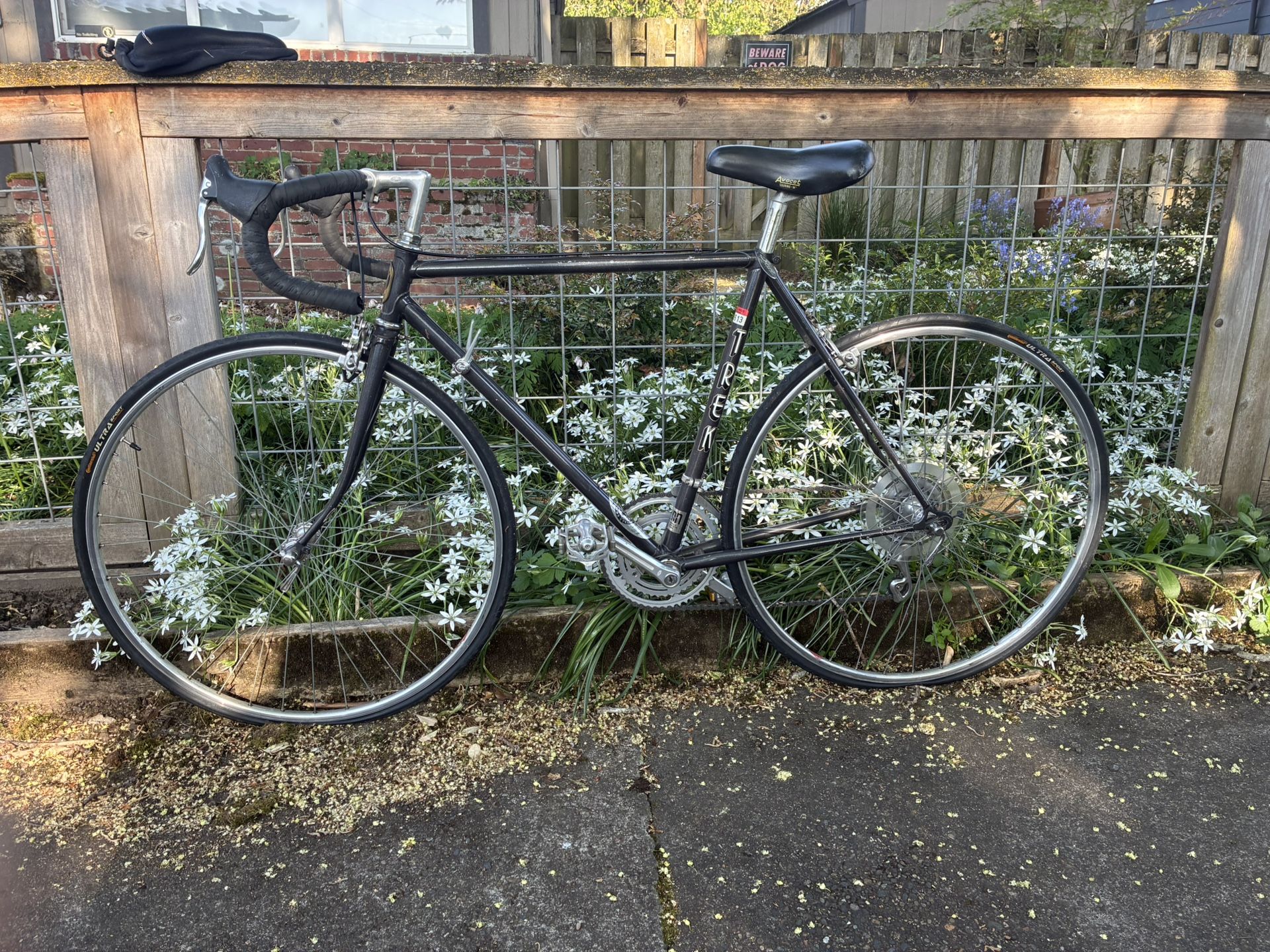 Trek Road Bike 