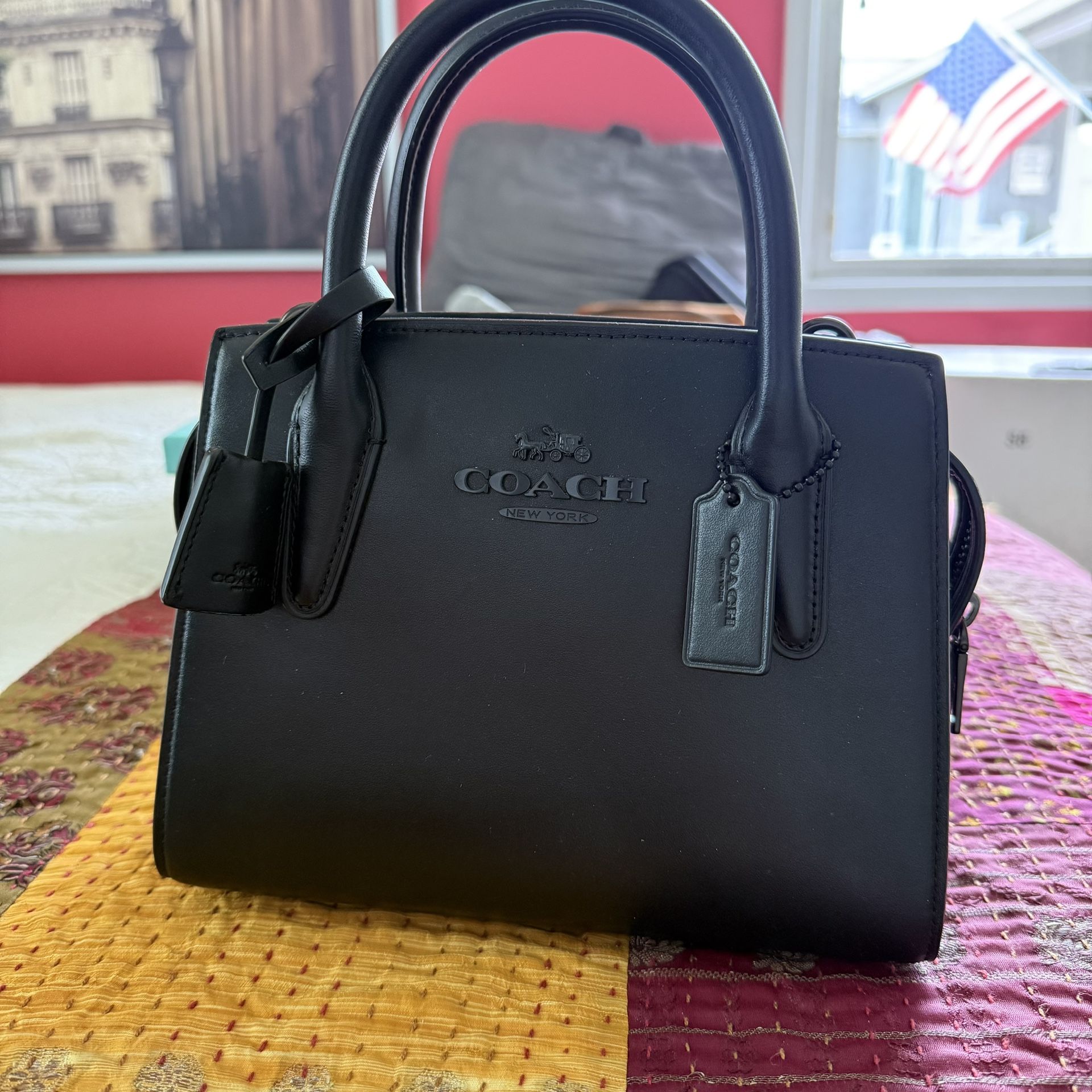 Coach Andrea Small Leather Carryall