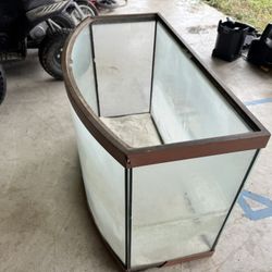 Salt Water Fish Tank