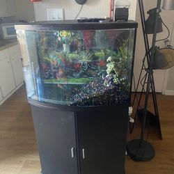 For Sale