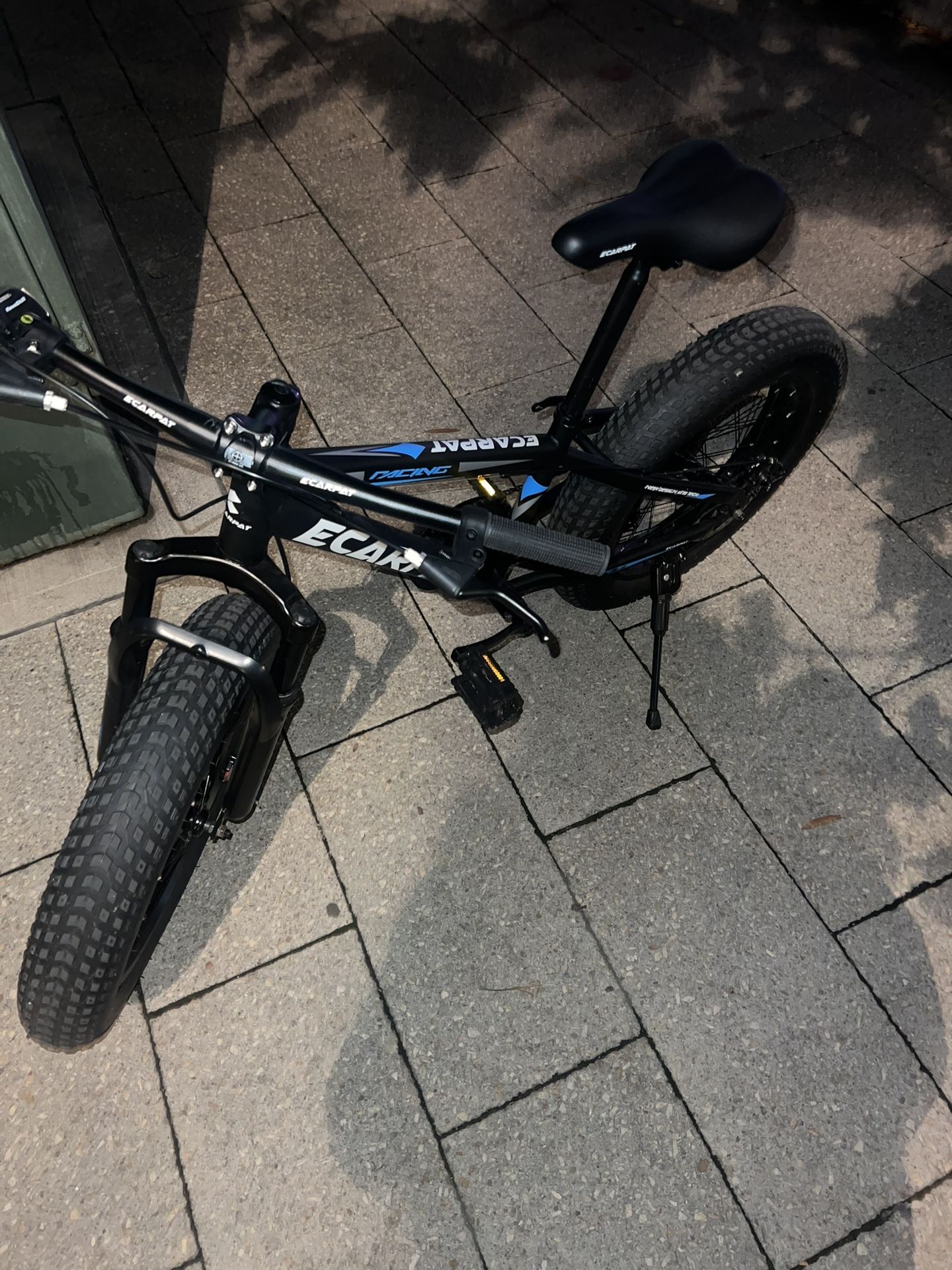 Adult Teens Bike