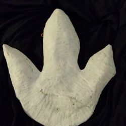 This Is A Casting Of A Real Dilophosaurus Footprint 