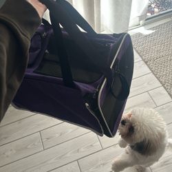 dog/cat carrier