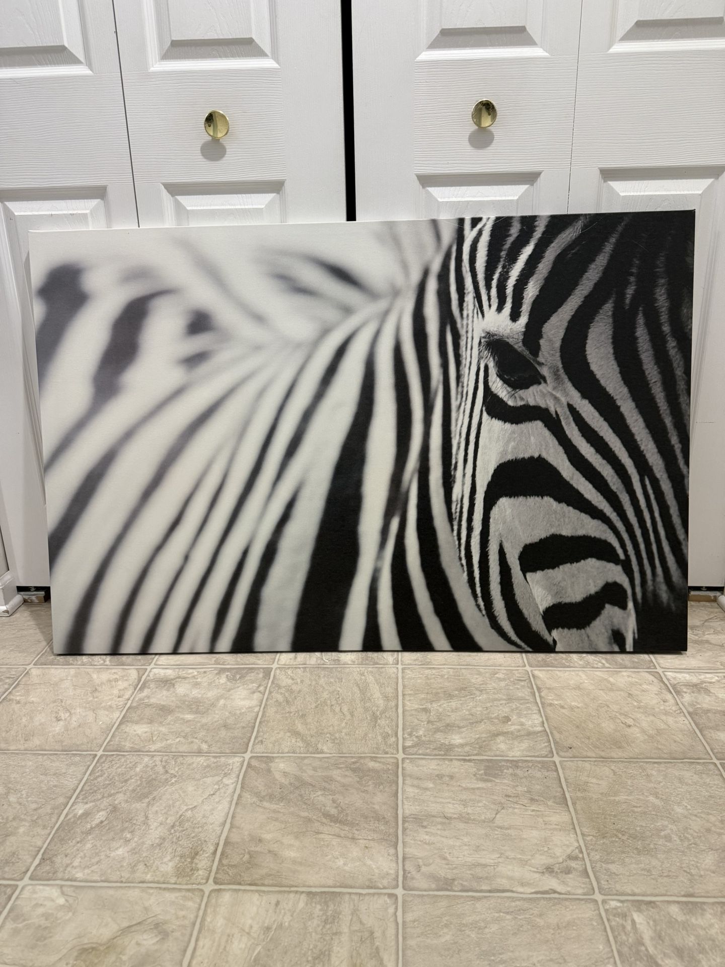 Beautiful Large 46 1/2 By 31 Inch Canvas Wall Art. (MUST SELL TODAY)