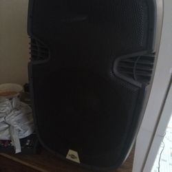 Cedar's Link 15 Inch PA Speaker