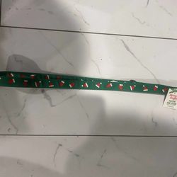 Merry & Bright 4 Ft. Holiday Green Dog Leash Santa Hat & Gloves