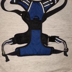 Blue Reflective Harness