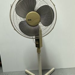 Fan