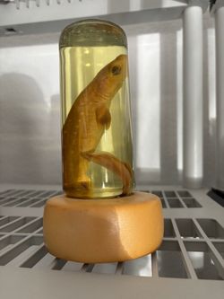 Shark In Jar with Base