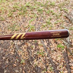 Wood youth bat