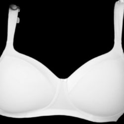 Playtex Women's Secrets  Full-Coverage Wireless Bra 36DDD