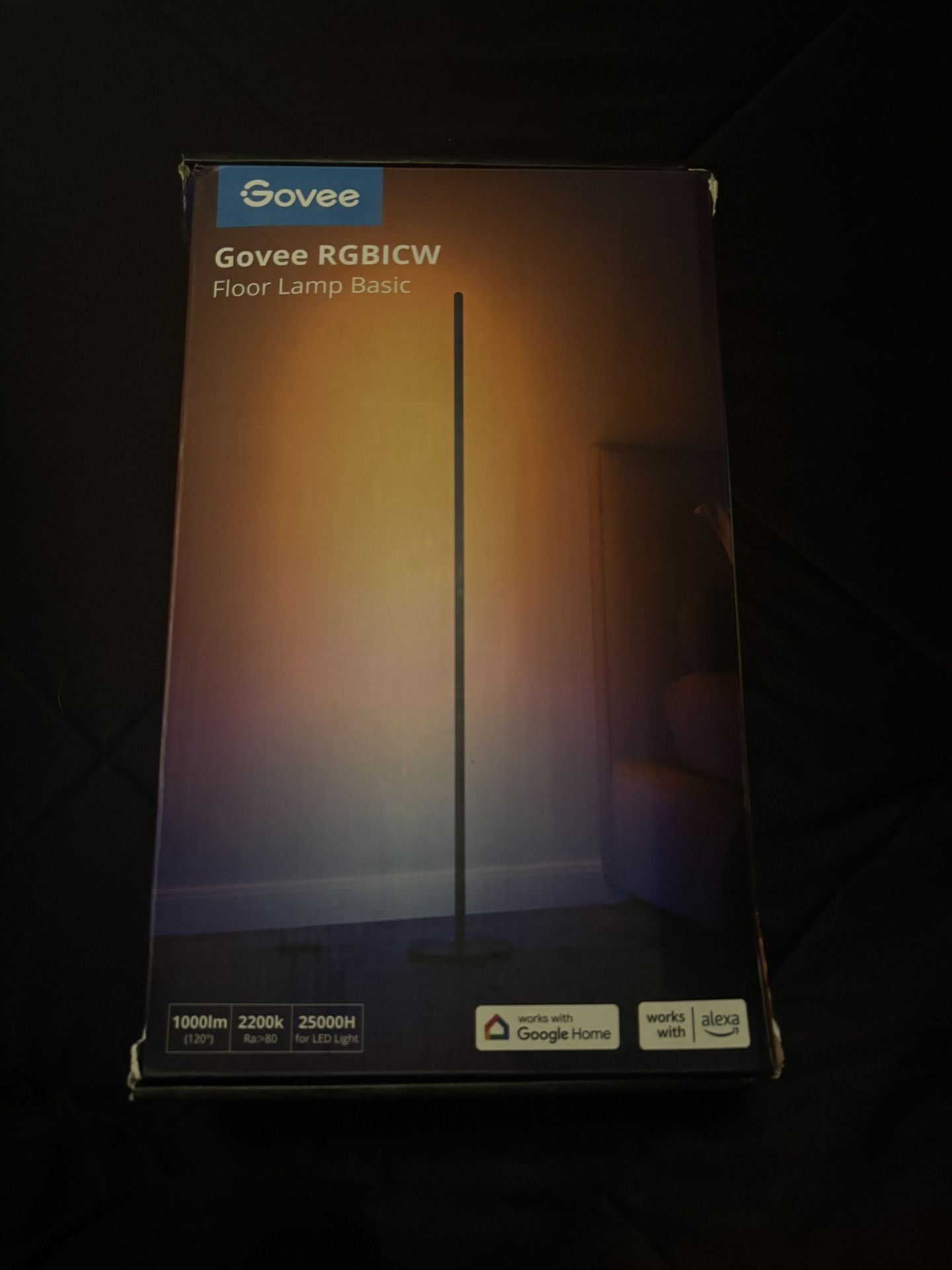 Gove floor lamp/ light