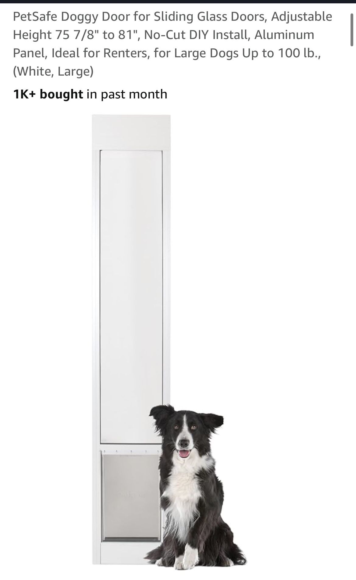 Large dog door
