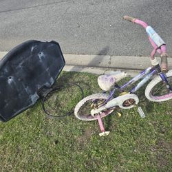 Free Basketball Hoop & Kids Bicycle