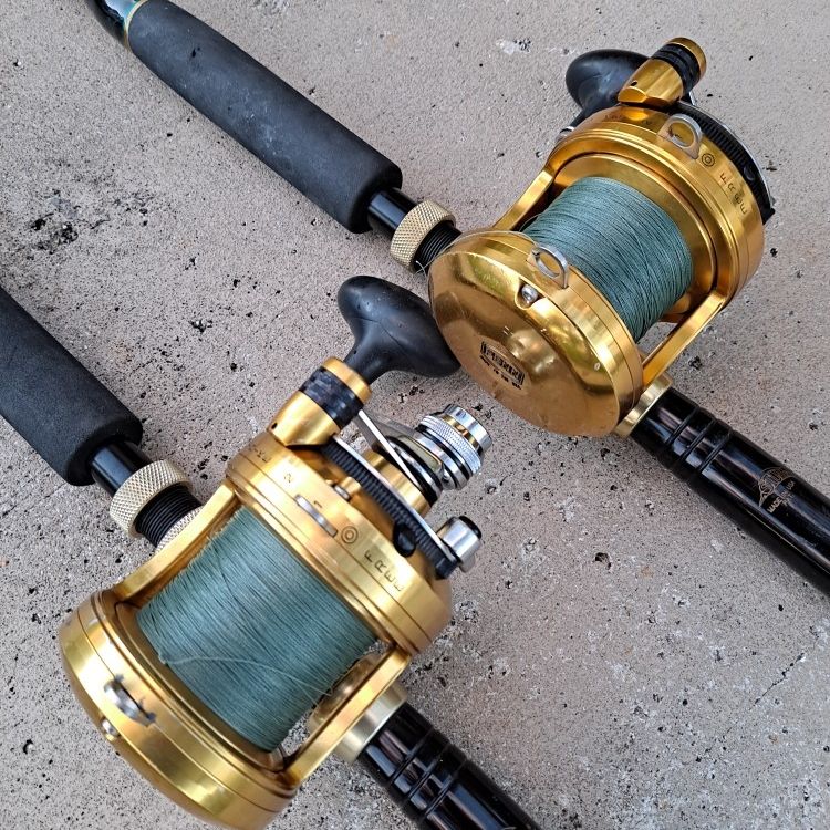 Igfa Penn International Rods For Sale Spinning Rod Penn Tuna Rod