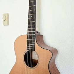 Breedlove Electric-acoustic 