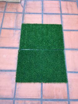 Fake Grass for Dogs’ Potty Training