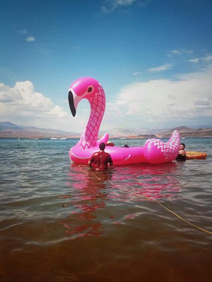 9ft flamingo float