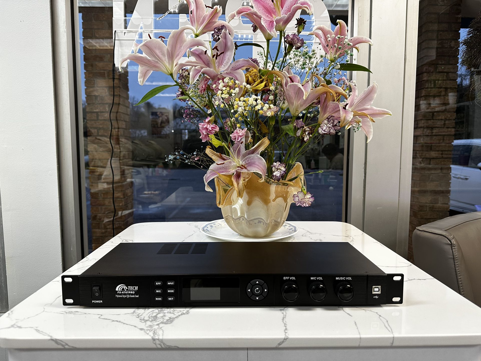 Professional karaoke processor digital System And 1 Year Warranty