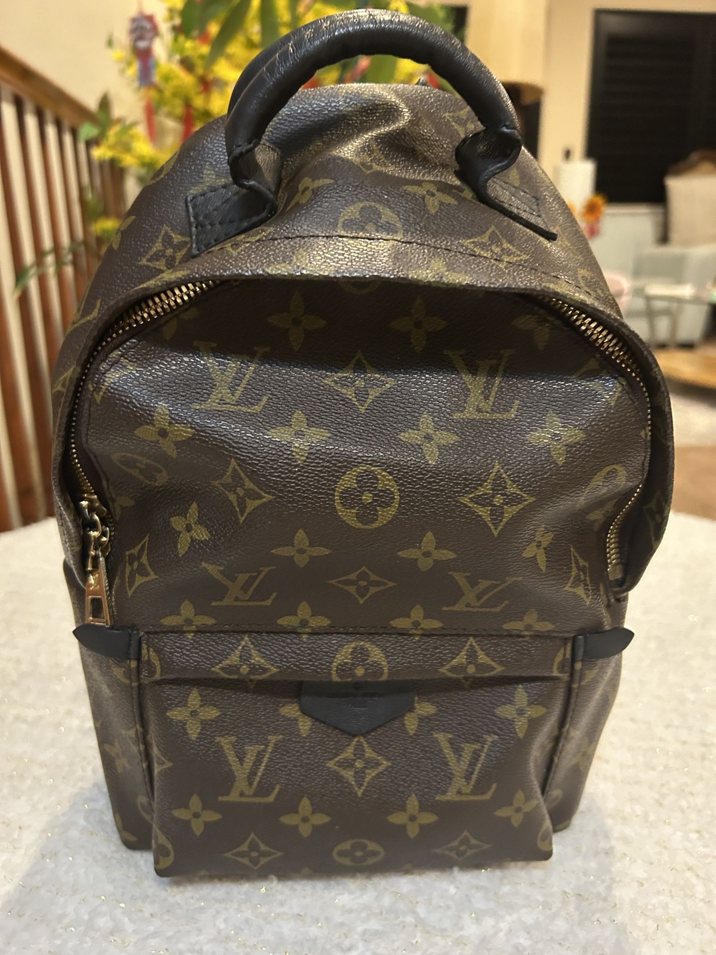 Louis Vuitton backpack