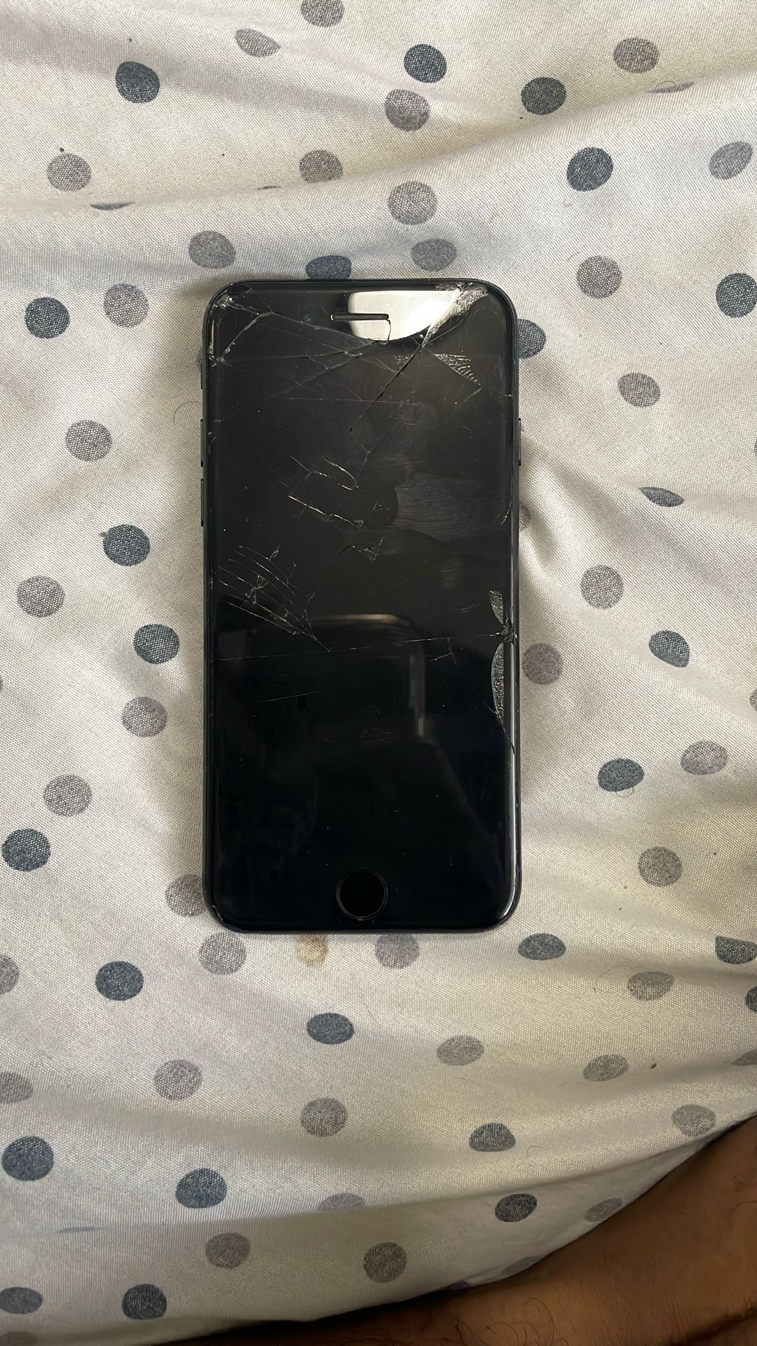 iPhone 7