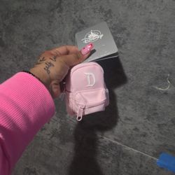 Disney Land Mini Backpack Keychain