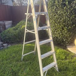 Werner 6ft Grey Aluminum Ladder 