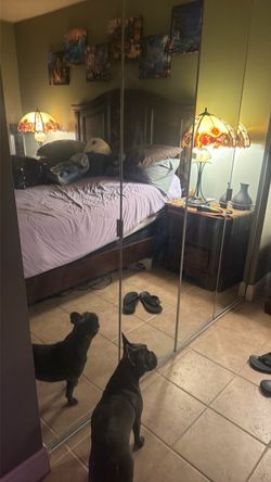 Mirror Bifold Closet Doors