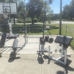 BodySolid/Bowflex Gym Equipment 