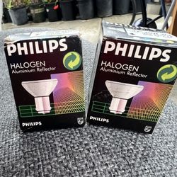 Bulbs Set 5 Dlrs
