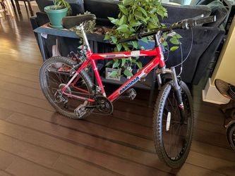 Echo Ridge Bike 18”