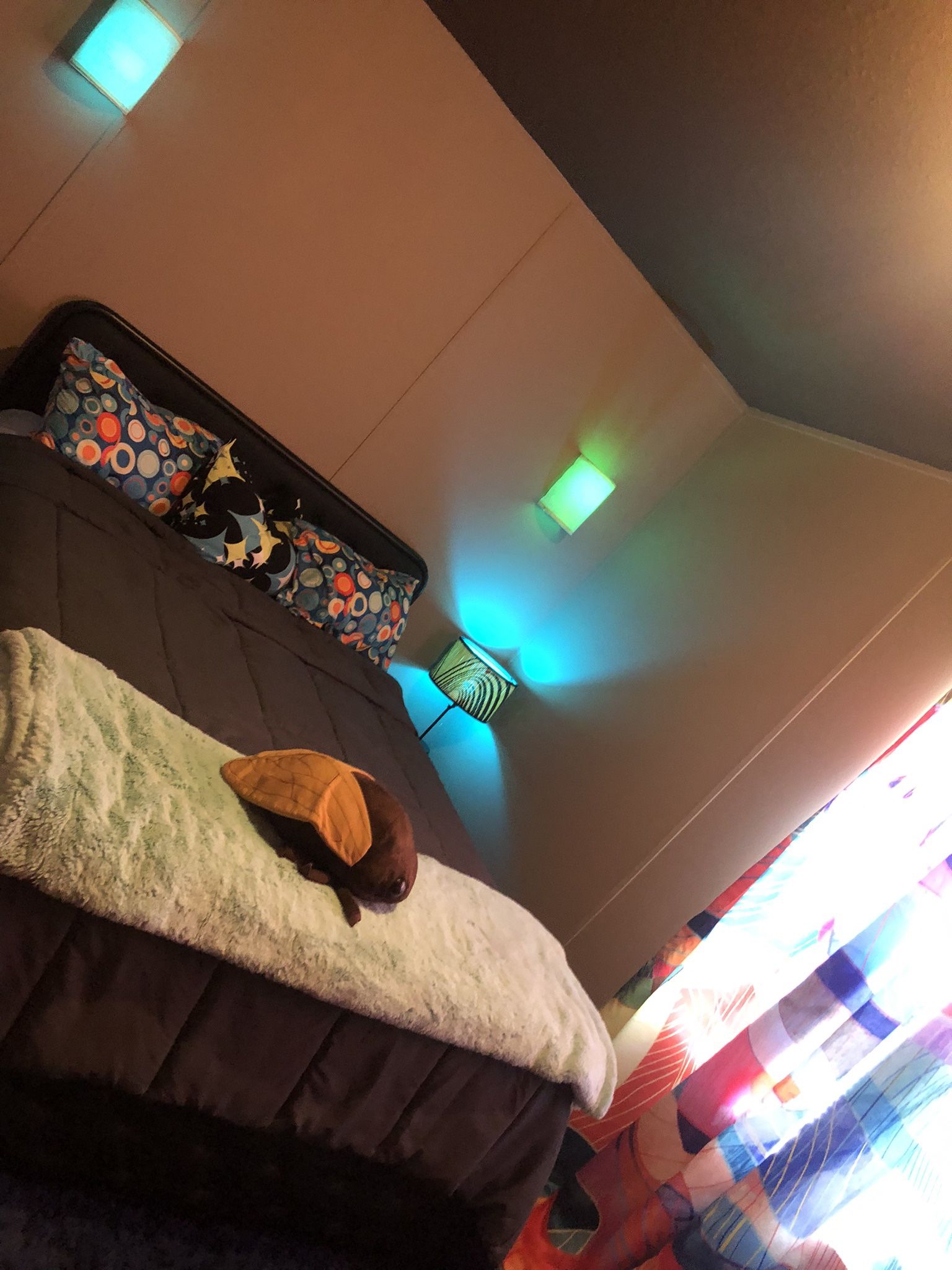 Sharing My Cozy Davie Home