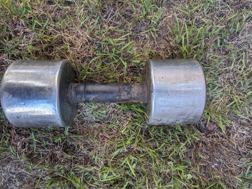 Single Dumbbell 25lb