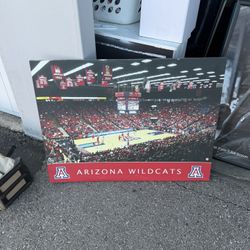 Big Picture Of The Arizona Wildcats Basketball 