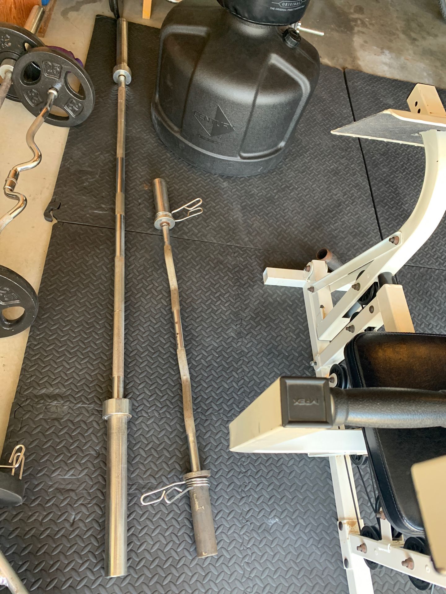 Olympic Bar and curl Bar