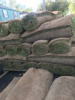 fresh sod cut every morning