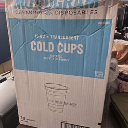 16oz translucent cold cups (case of 960ct)
