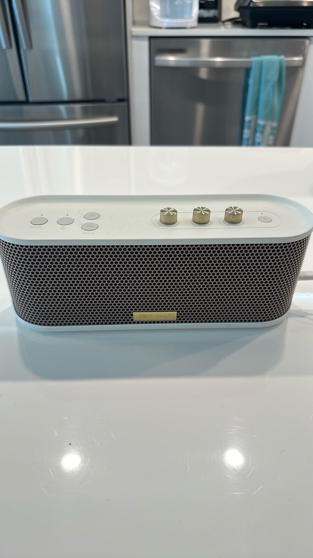 Roland BTM-1 Bluetooth Speaker with Guitar Input BTM-1