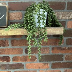 West Elm Fake String Of Pearls Plant