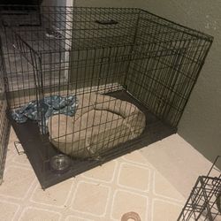 Big Dog Crate