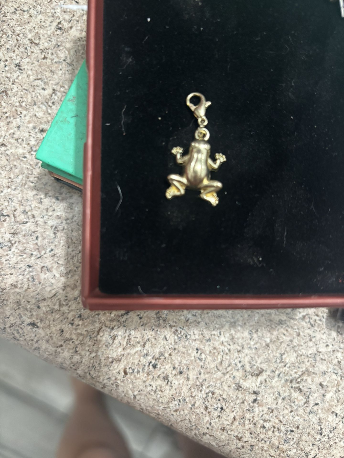 10 Kt Frog